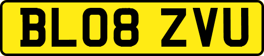 BL08ZVU