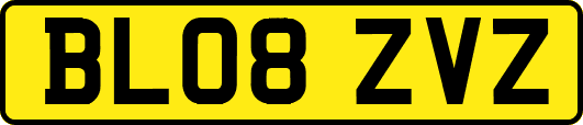BL08ZVZ