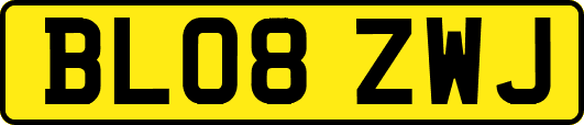 BL08ZWJ