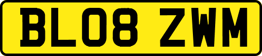 BL08ZWM