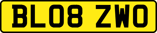BL08ZWO