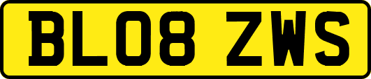 BL08ZWS