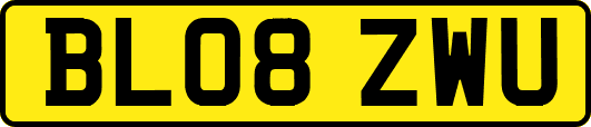 BL08ZWU
