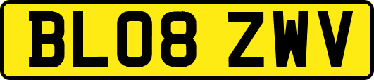 BL08ZWV