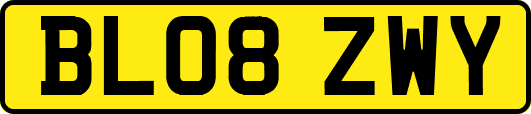 BL08ZWY