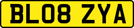 BL08ZYA