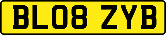 BL08ZYB