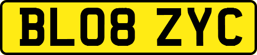 BL08ZYC