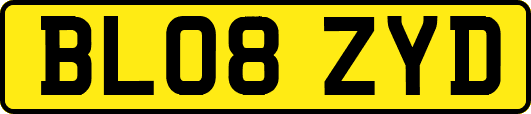BL08ZYD