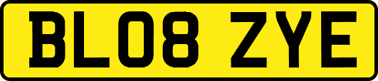 BL08ZYE