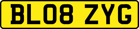 BL08ZYG
