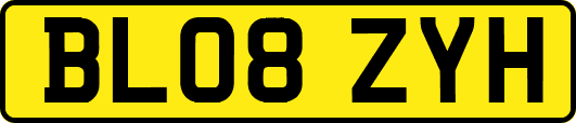BL08ZYH