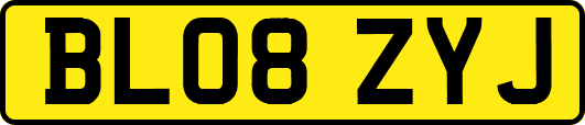 BL08ZYJ