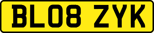 BL08ZYK