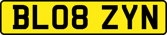 BL08ZYN