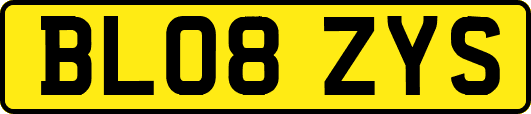 BL08ZYS