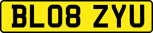 BL08ZYU
