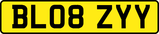 BL08ZYY