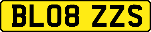 BL08ZZS