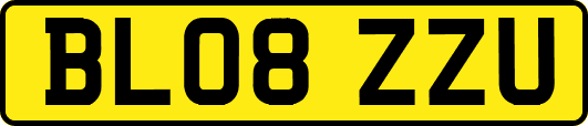 BL08ZZU