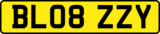 BL08ZZY