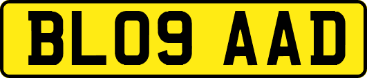 BL09AAD
