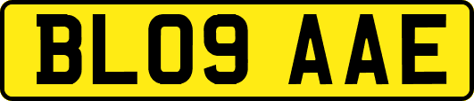 BL09AAE