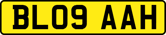 BL09AAH
