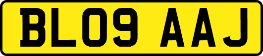 BL09AAJ