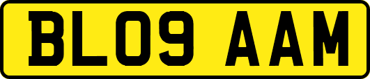BL09AAM