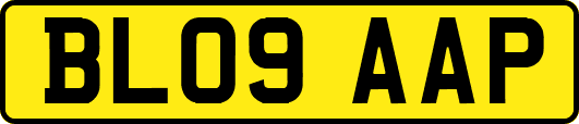 BL09AAP
