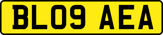 BL09AEA
