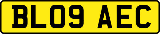 BL09AEC