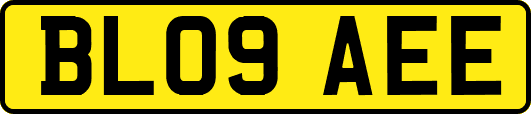 BL09AEE