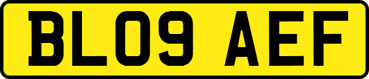 BL09AEF