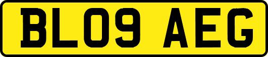 BL09AEG