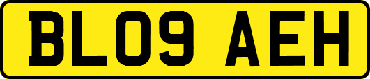 BL09AEH
