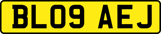 BL09AEJ
