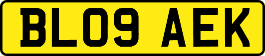 BL09AEK