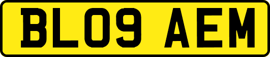 BL09AEM