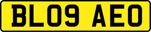 BL09AEO