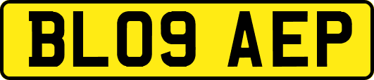 BL09AEP