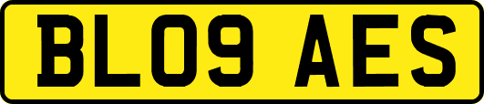 BL09AES
