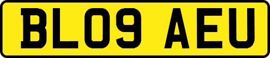 BL09AEU
