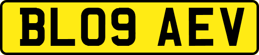 BL09AEV