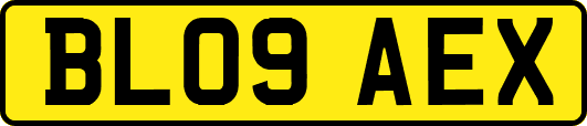BL09AEX