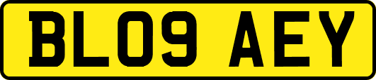 BL09AEY