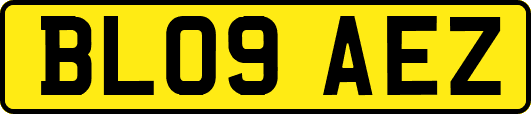 BL09AEZ