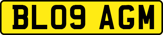 BL09AGM