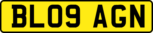 BL09AGN